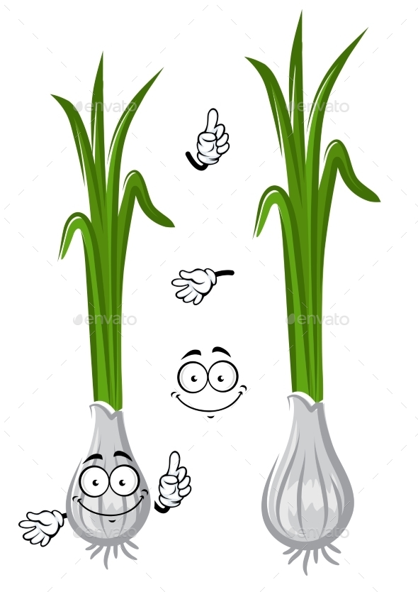 Graphicriver Cartoon Healthful Green Onion Vegetable 14121734