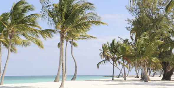 tropical beach HD 3 tropical beach HD 3
