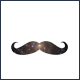 Movember