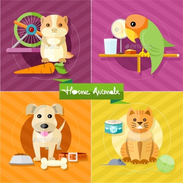 Hamster, Parrot, Cat and Dog