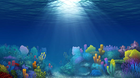 Underwater Coral by maui | VideoHive