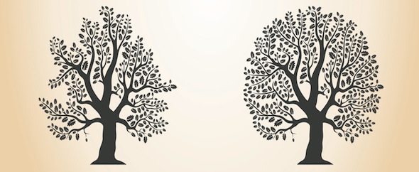 Oakhomepage