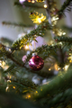 Photo of glowing christmas tree closeup | Free christmas images