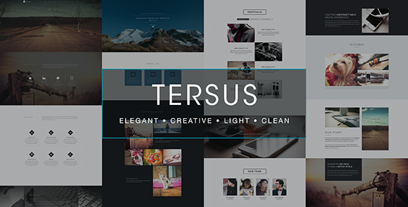 Tersus - Business Portfolio Parallax Muse Template