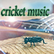 cricket_music