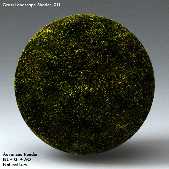 Grass Landscape Shader_011 - 3DOcean Item for Sale