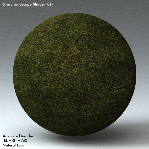 Grass Landscape Shader_017 - 3DOcean Item for Sale