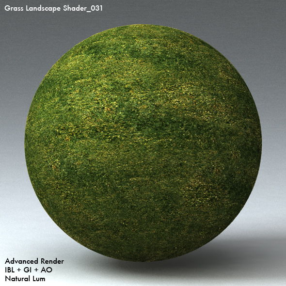 Grass Landscape Shader_031 - 3DOcean Item for Sale