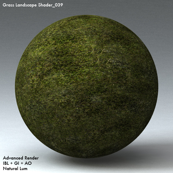 Grass Landscape Shader_039 - 3DOcean Item for Sale