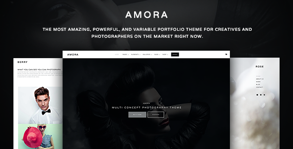 Amora - Creative Responsive Multi-Concept Theme