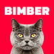 Bimber - Viral & Buzz WordPress Theme