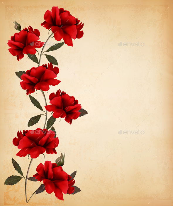 Red Roses On Old Paper Background Vector
