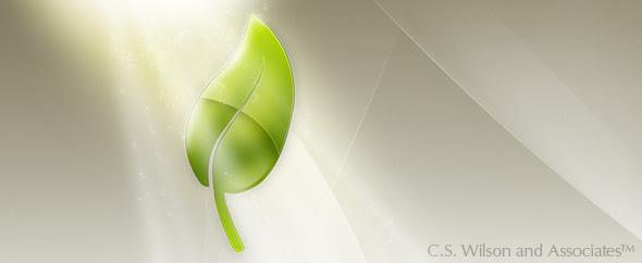 CSWilson