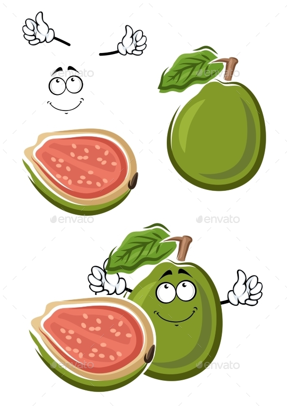 Ripe Cartoon Green Guava Fruit