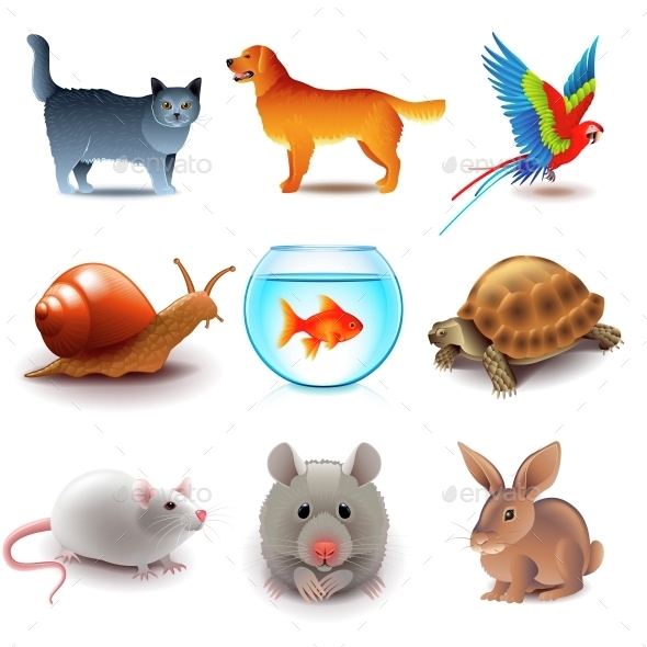 Pets Icons Vector Set