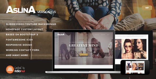 Aslina - Responsive One Page Portfolio Theme