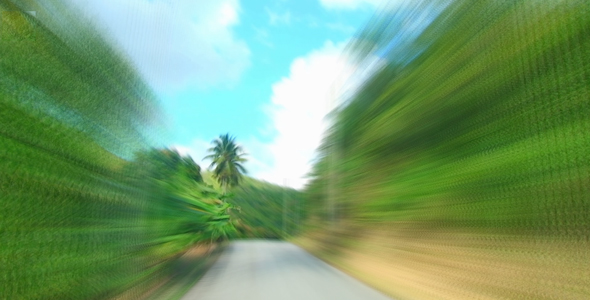 Rainforest Drive Rainforest Drive