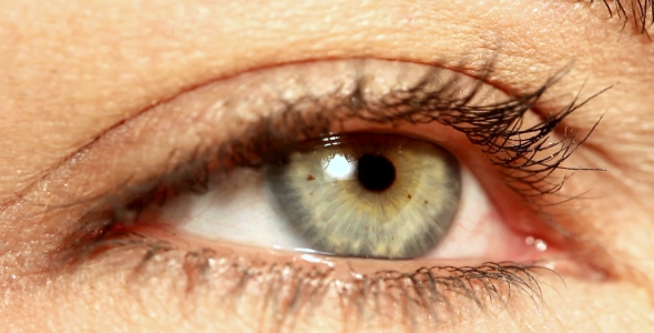 EYE 3 бн close-up with movements EYE 3 бн close-up with movements