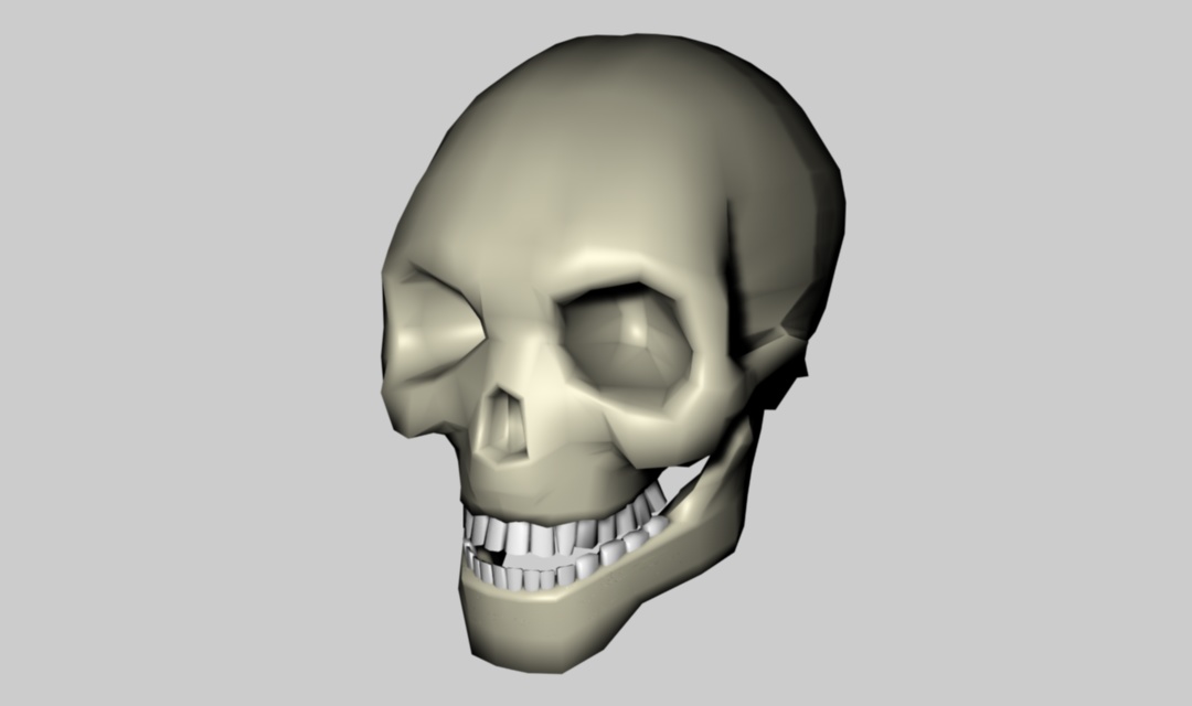 Template Skull Cinema 4d R14