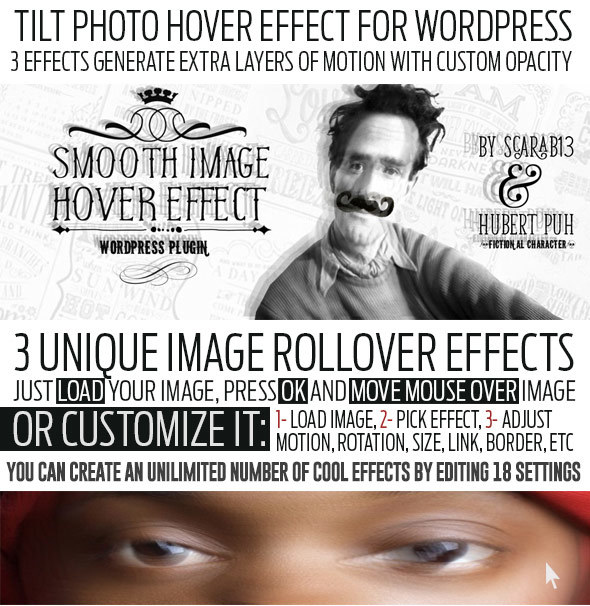 Tilt Image Hover Effect WordPress Plugin - Unlimited Usage - 2