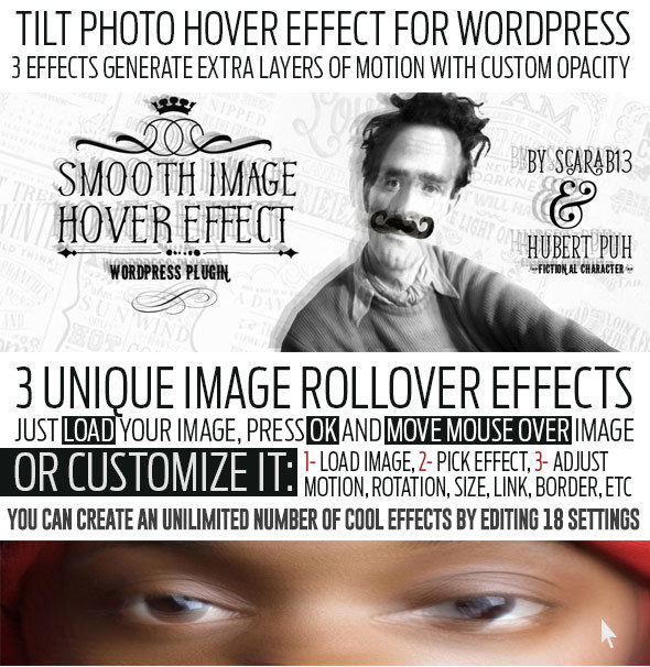 Tilt Image Hover Effect Wordpress Plugin - Unlimited Usage - 2