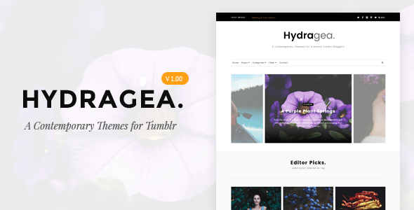 Hydragea | A Contemporary Tumblr Themes