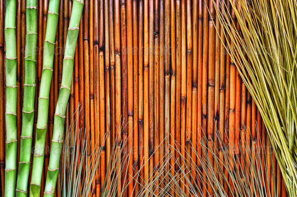 Bamboo and Grass Grunge Background