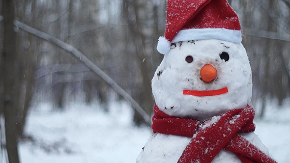 Snowman in a Christmas Hat