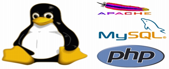 Codecanyon header