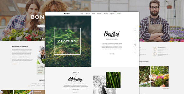 Bonsai - PSD Template for Landscapers & Gardeners