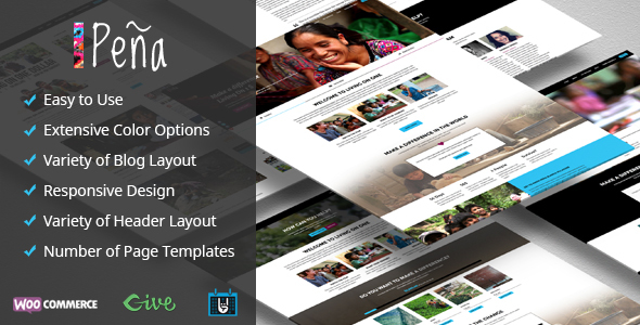 Pena - Charity/Non-Profit WordPress Theme