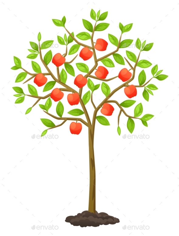 Fruit Tree with Apples