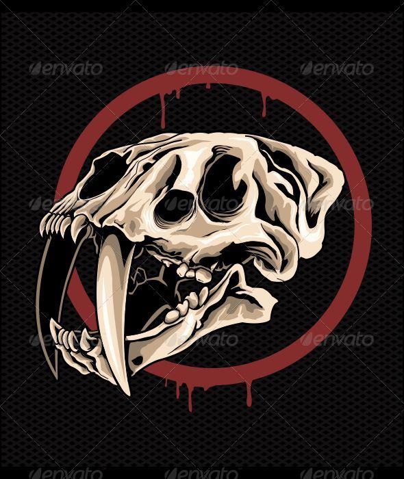 Tiger Skull | GraphicRiver