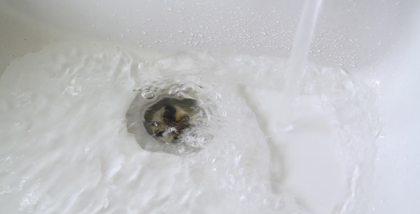 Water Drain in White Sink III Water Drain in White Sink III