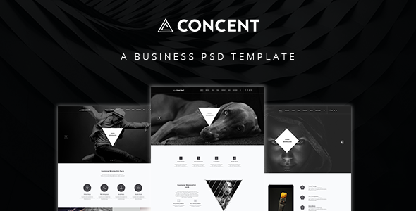 Concent - MultiPurose Business Art Photography PSD Template