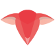 littlelambfirenze