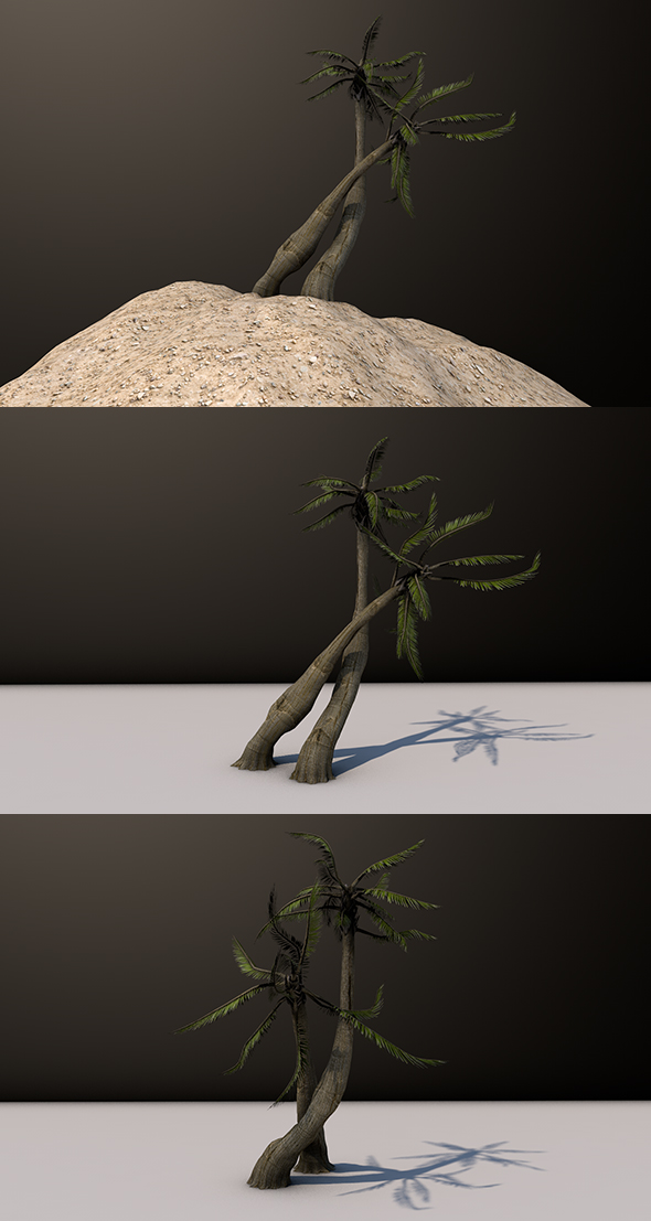 Beach Palm Tree - 3DOcean Item for Sale
