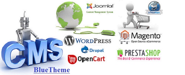 Cms-web-design-and-development
