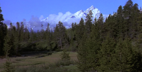 Teton Mountains and Forest Clearing Teton Mountains and Forest Clearing