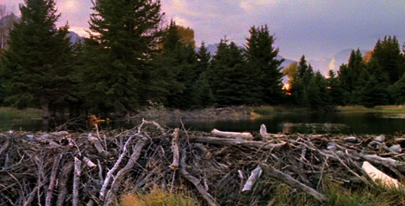 Big Beaver Dam Big Beaver Dam
