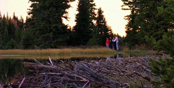 Family Enjoying nature Family Enjoying nature