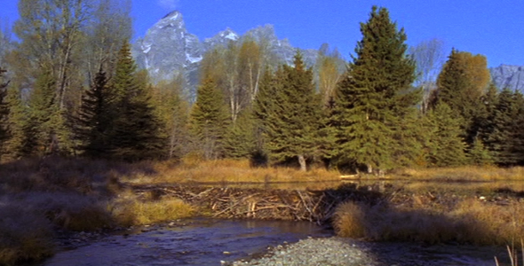 Beaver Dam and Grand Teton Beaver Dam and Grand Teton