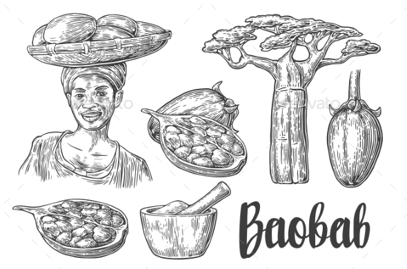 Baobab Fruit, Tree And Seeds. Mortar And Pestle