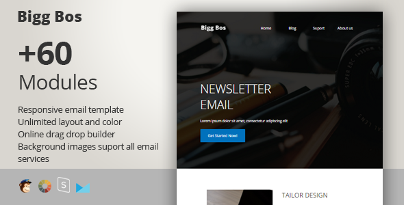 Big Boss - Responsive Email + StampReady Builder