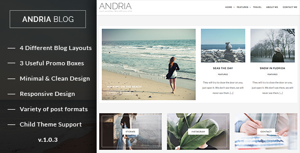 Andria - A Responsive WordPress Blog Theme