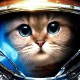 eliseycat