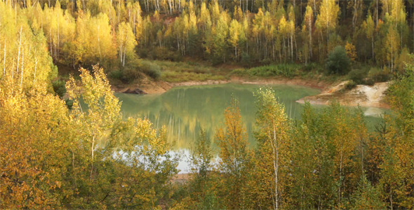 Forest Lake Forest Lake