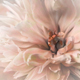 Rustic_Souls_Photography