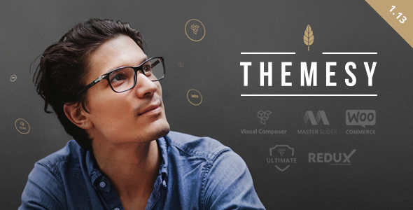 Themesy - Responsive Multi-Purpose WordPress Theme