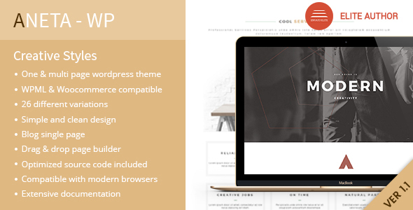 Aneta - Modern/Artist/unique Multipurpose WordPress Theme